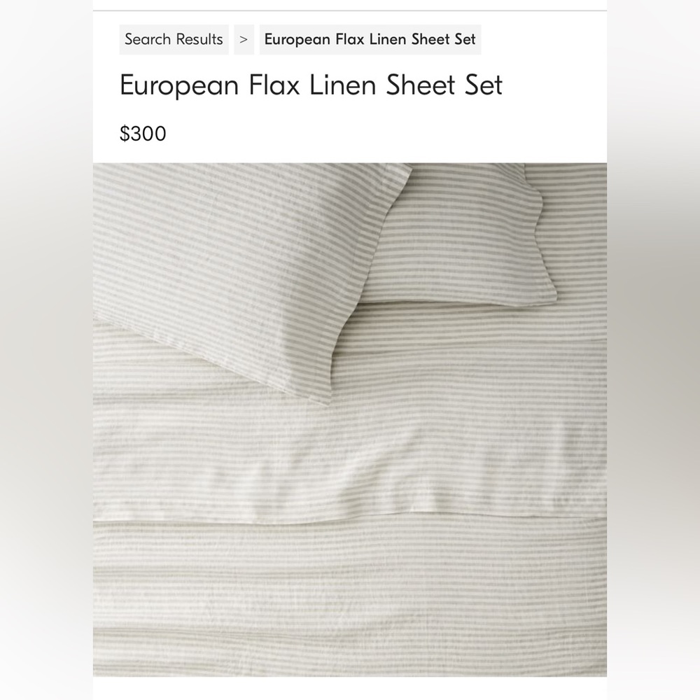 West Elm European Flax Linen Sheet Set- King